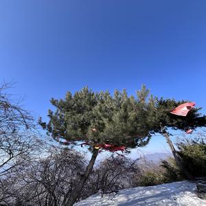 人间朝暮