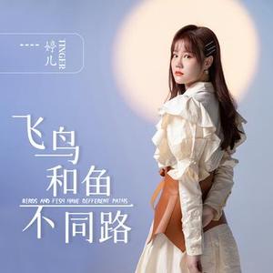 飞鸟和鱼不同路