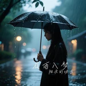 夜雨入梦