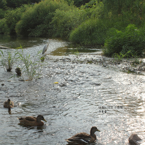 내게는 너무 소중해