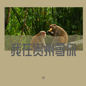 张超-我在贵州等你（SG remix）（SG remix）