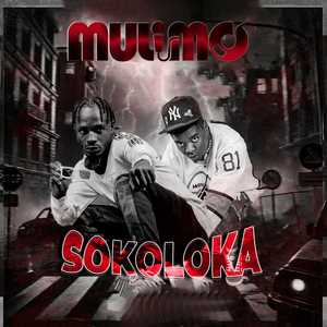 Sokoloka