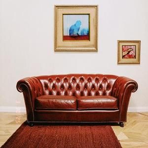 grumpy cat on a crimson red leather couch