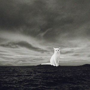 Gönder Bana Gördüğünü