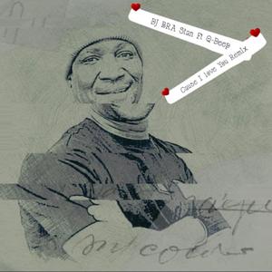 Dj Bra Stan Cause I Love You remix) (feat. Q-Deep) (Radio Edit)