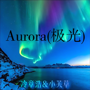Aurora(极光) (MeteorTeam流星DJ双人组)