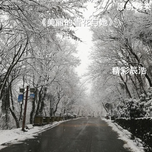 美丽的你与雪花