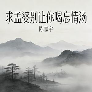 求孟婆别让你喝忘情汤