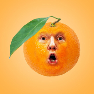 Trumpy Dumpy