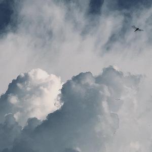 我不会像你一样