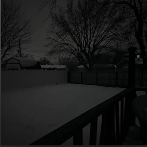 Nights