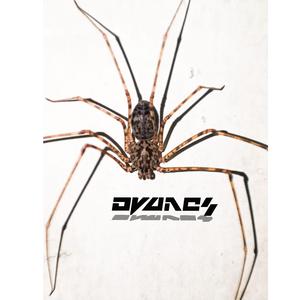 Techno is the answer