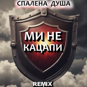 Не стане нас менше (Український Шансон - Remix)