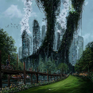 The Mountain Shadow Note