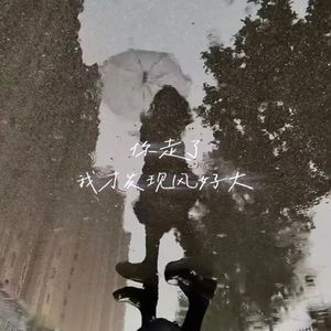 你走了我才发现风好大
