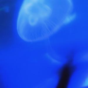 干杯时我会想起你