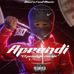 Aprendi (El pendejo remix))