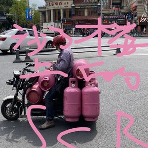 沙了楼上的