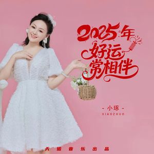 2025年好运常相伴（DJ版）