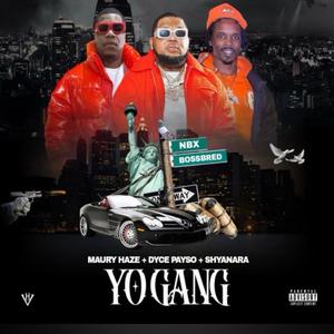 Yo Gang (feat. Dyce Payso & Shyanara)