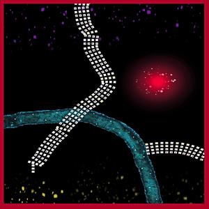 Super Music Space Voyage