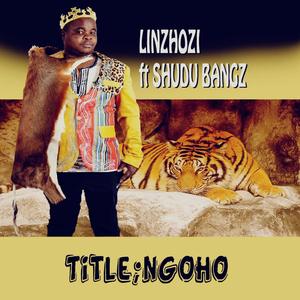 Ngoho (feat. Shudu bangs)