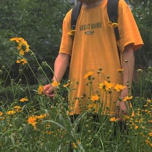 তুমি দূর থেকে কেন হাসো