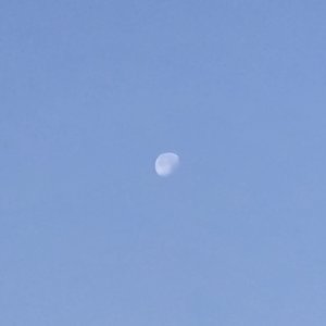 2300太空种田