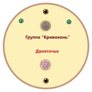 В ловушке водяной