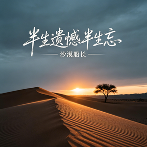 半生遗憾半生忘
