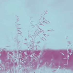 一尘不染水疗护理印象数