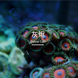 自由潜VS水肺潜水 谁更装