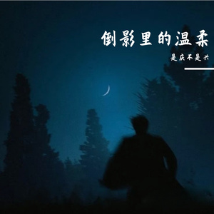 风停在你耳边