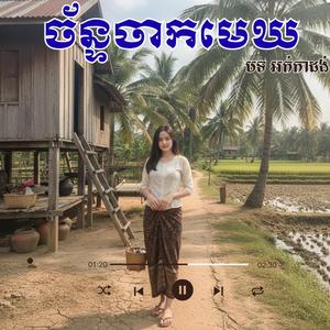 ពៅ ច័ន្ទចាកមេឃ