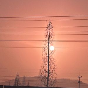 Golden(Cover-HUNTRX)