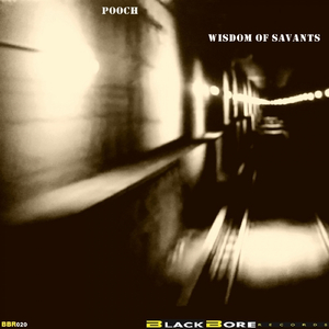 Wisdom Of Acid (Original Mix)