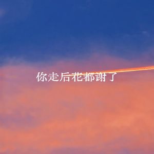 你走后花都谢了