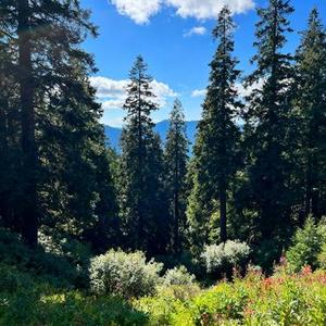 爱不爱我 (Cover 零点乐队)