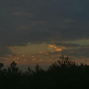 当代恶臭年轻人