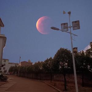 Past Lives（治愈版）