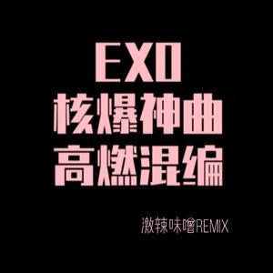 澤野弘之-泽野弘之×EXO（激辣味噌 remix）