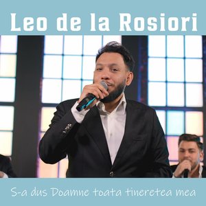S-a dus doamne toata tineretea mea - Live