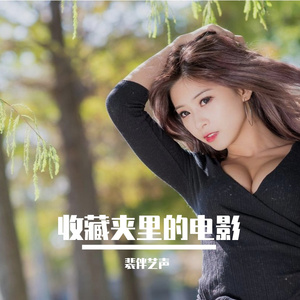 老相机里的夏天