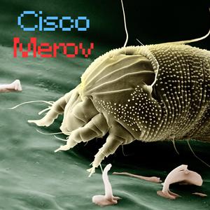 Cisco