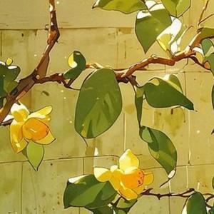 In bloom