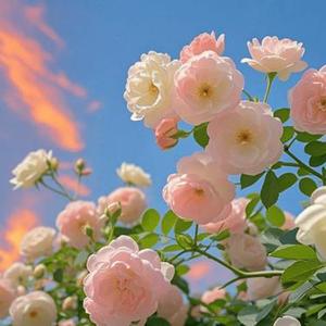 雨纷飞 (我相信爱情没有永远)