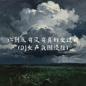 你到底有没有真的爱过我(DJ女声氛围慢摇)