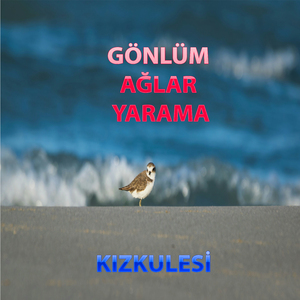 Gönlüm Ağlar Yarama