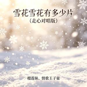 雪花雪花有多少片(走心对唱版)