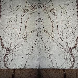 TREE (Roots Of An Oak Tree)